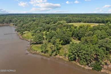 Beautiful water front lot on Halls Creek with a community boat - photo 15