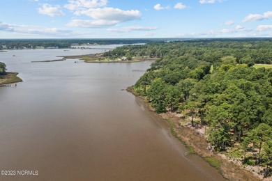 Beautiful water front lot on Halls Creek with a community boat - photo 16