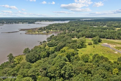 Beautiful water front lot on Halls Creek with a community boat - photo 17