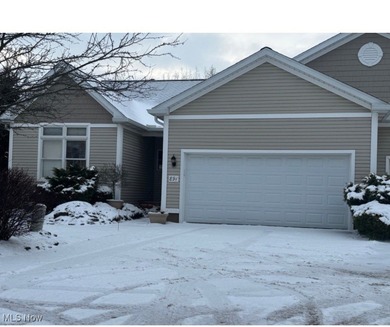 (private lake, pond, creek) Condo For Sale in Kent Ohio