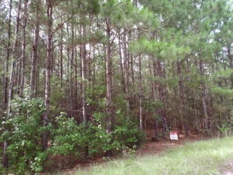 Lake Community, Large Wooded Lots For Camping, Reduced - Lake Lot For Sale in Woodville, Texas