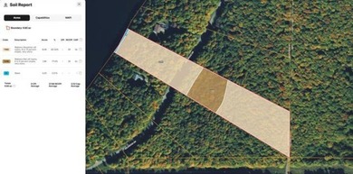 MICHIGAN INLAND LAKE WATERFRONT PARCEL FOR SALE! This property - photo 13