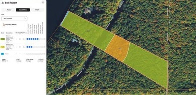 MICHIGAN INLAND LAKE WATERFRONT PARCEL FOR SALE! This property - photo 14