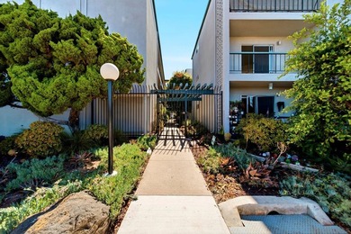 This corner-unit features views of Mount Soledad from several - photo 19