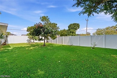 Direct Gulf Access in one of Cape Coral's most prestigious - photo 40