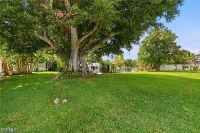 Direct Gulf Access in one of Cape Coral's most prestigious - photo 41