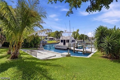 Direct Gulf Access in one of Cape Coral's most prestigious - photo 42