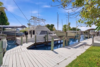 Direct Gulf Access in one of Cape Coral's most prestigious - photo 46