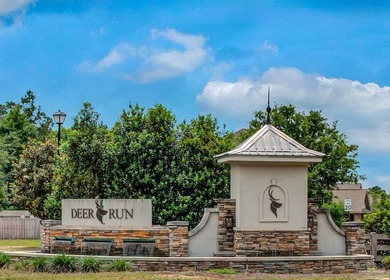 NEW PRICE! Exceptional Value on a Premium Corner Lot in Preserve - photo 4