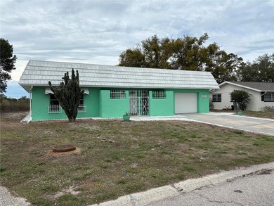 (private lake, pond, coastal) Home For Sale in Port Richey Florida