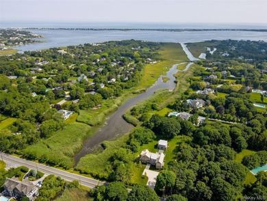 Stunning New Construction in Westhampton with Rare 2 Story 4 - photo 6