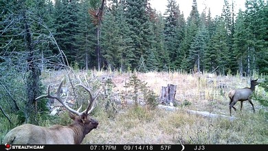 Trophy hunting ranch with a beautiful lodge located in Wenaha 56 - photo 6