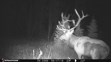 Trophy hunting ranch with a beautiful lodge located in Wenaha 56 - photo 7