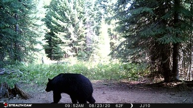 Trophy hunting ranch with a beautiful lodge located in Wenaha 56 - photo 8