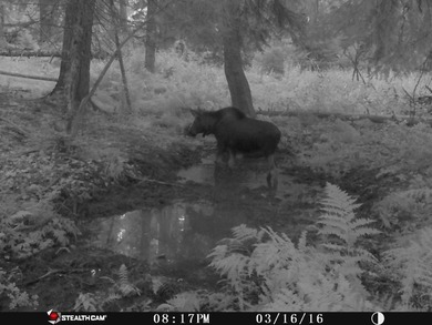 Trophy hunting ranch with a beautiful lodge located in Wenaha 56 - photo 10