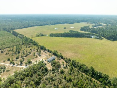Extraordinary +/-117 prime acres located in Walton County of - photo 11