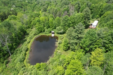 Spencer Lake Acreage For Sale in Spencer New York