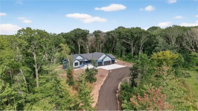 Lake Home For Sale in Princeton, Minnesota