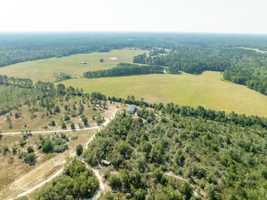 Extraordinary +/-117 prime acres located in Walton County of - photo 12
