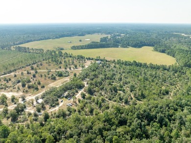 Extraordinary +/-117 prime acres located in Walton County of - photo 13