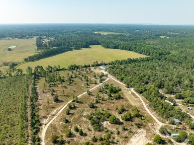 Extraordinary +/-117 prime acres located in Walton County of - photo 14