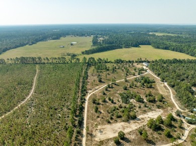 Extraordinary +/-117 prime acres located in Walton County of - photo 15