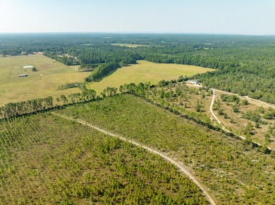 Extraordinary +/-117 prime acres located in Walton County of - photo 16