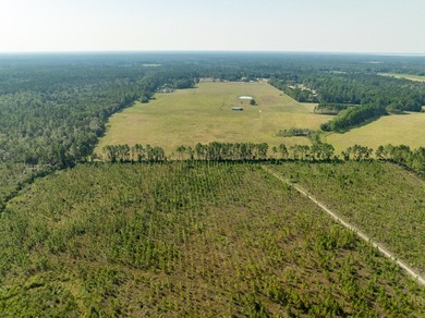 Extraordinary +/-117 prime acres located in Walton County of - photo 17