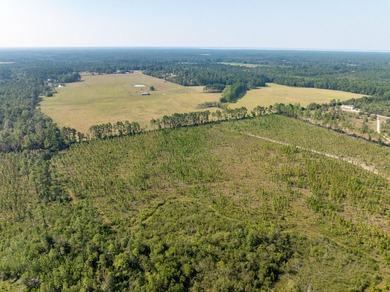Extraordinary +/-117 prime acres located in Walton County of - photo 18