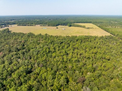 Extraordinary +/-117 prime acres located in Walton County of - photo 19