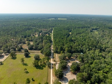 Extraordinary +/-117 prime acres located in Walton County of - photo 20