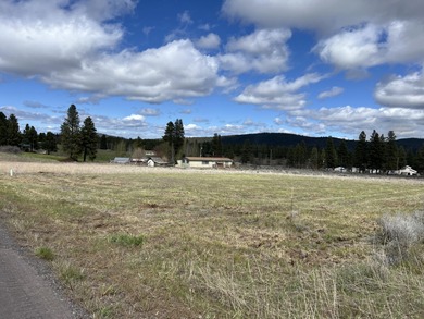 Agency Lake Lot For Sale in Chiloquin Oregon