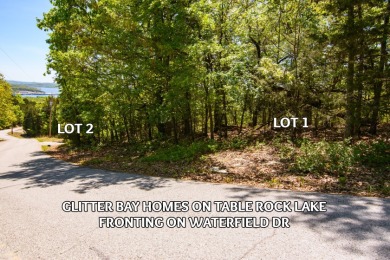 Lakefront and Lake View Lots For Sale - photo 9