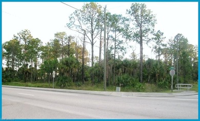 7.48 acres of prime commercial/medical zoned property in the - photo 1
