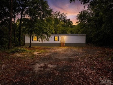 Brand New Mobile Home - Modern Living at an Affordable Price! - photo 1
