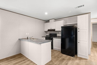 Brand New Mobile Home - Modern Living at an Affordable Price! - photo 5