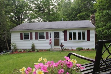 Lake Home For Sale in New Milford, Connecticut