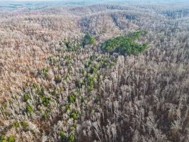 Tennessee River - Benton County Lot For Sale in Waverly Tennessee