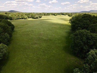 This exceptional multi-use farm with Petit Jean River frontage - photo 11