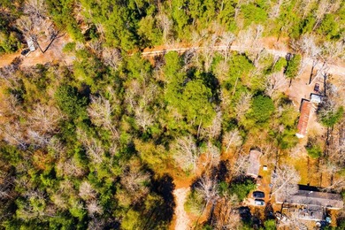 This 0.70-acre double lake district lot in Ivanhoe, Tyler County - photo 11