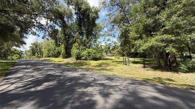 Nestled on 2.35-acre parcel just 5 minutes from Hernando Beach - photo 12