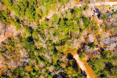 This 0.70-acre double lake district lot in Ivanhoe, Tyler County - photo 12