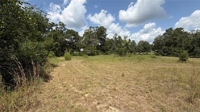 Nestled on 2.35-acre parcel just 5 minutes from Hernando Beach - photo 13