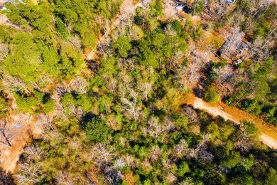 This 0.70-acre double lake district lot in Ivanhoe, Tyler County - photo 13
