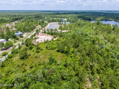 Nestled in the heart of coastal North Carolina, this rare nearly - photo 14