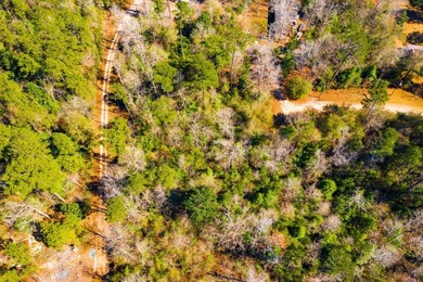 This 0.70-acre double lake district lot in Ivanhoe, Tyler County - photo 14