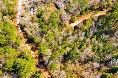 This 0.70-acre double lake district lot in Ivanhoe, Tyler County - photo 15