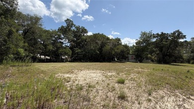 Nestled on 2.35-acre parcel just 5 minutes from Hernando Beach - photo 16