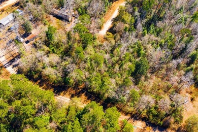 This 0.70-acre double lake district lot in Ivanhoe, Tyler County - photo 16
