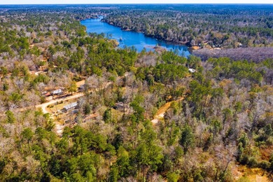 This 0.70-acre double lake district lot in Ivanhoe, Tyler County - photo 17
